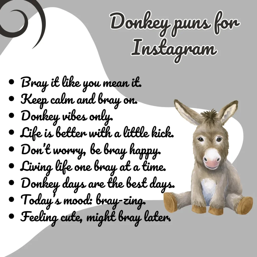 Donkey puns for Instagram