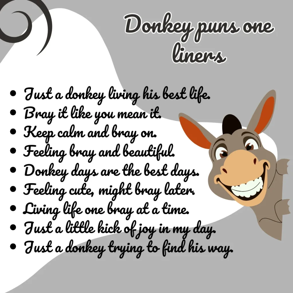 Donkey puns one liners