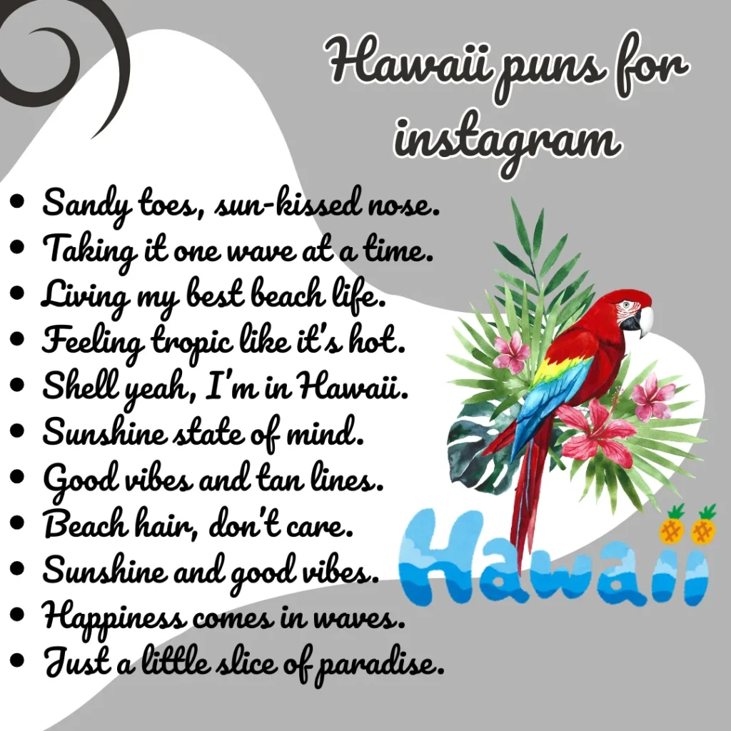 Hawaii puns for instagram