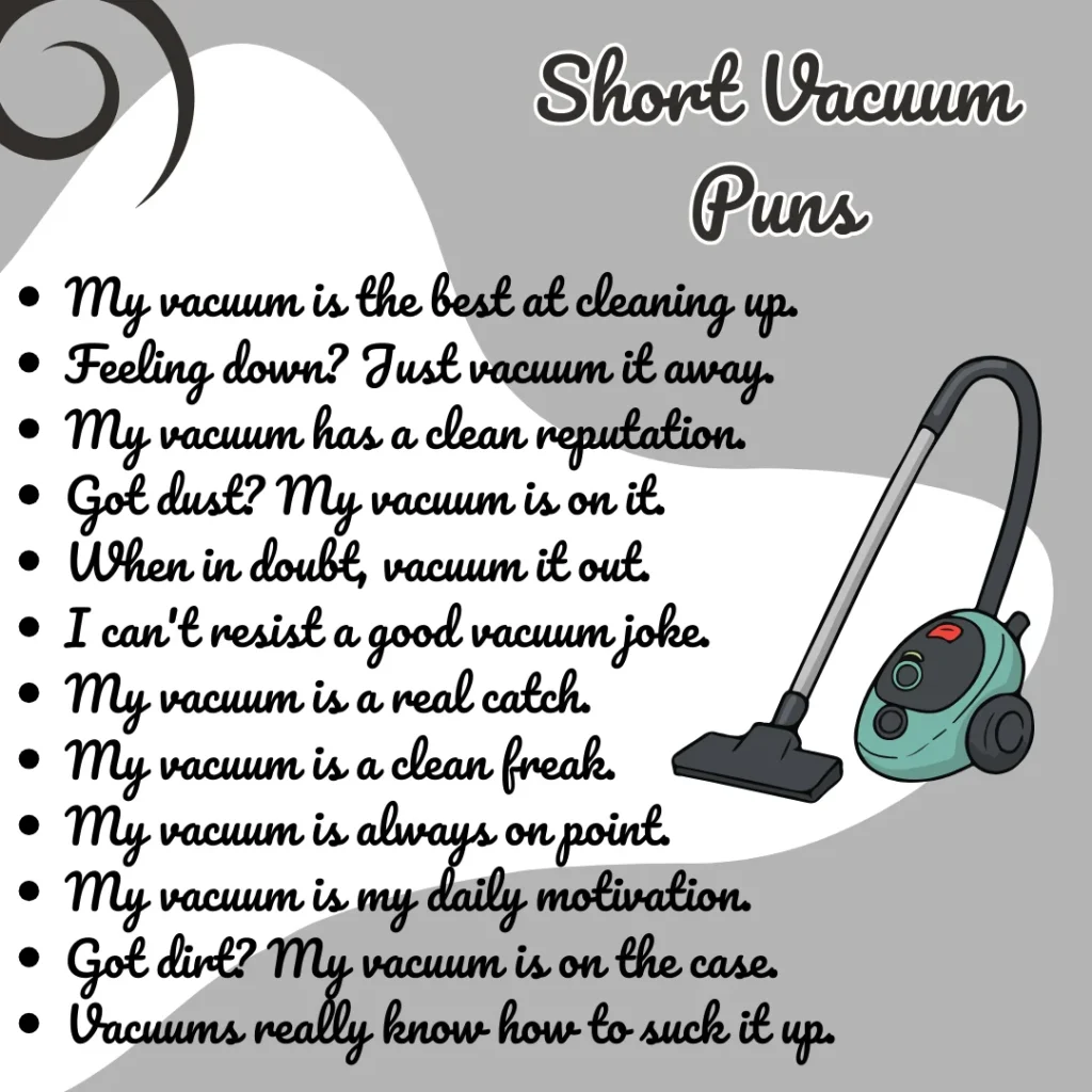 Short Vacuum Puns