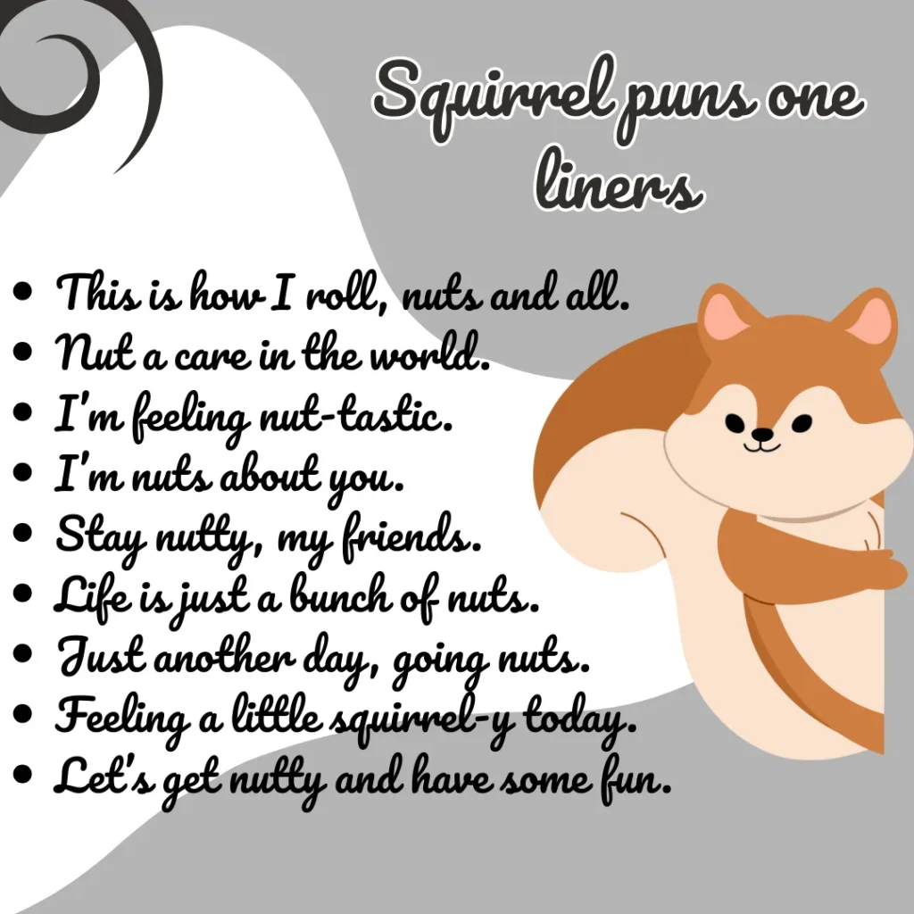Squirrel puns one liners
