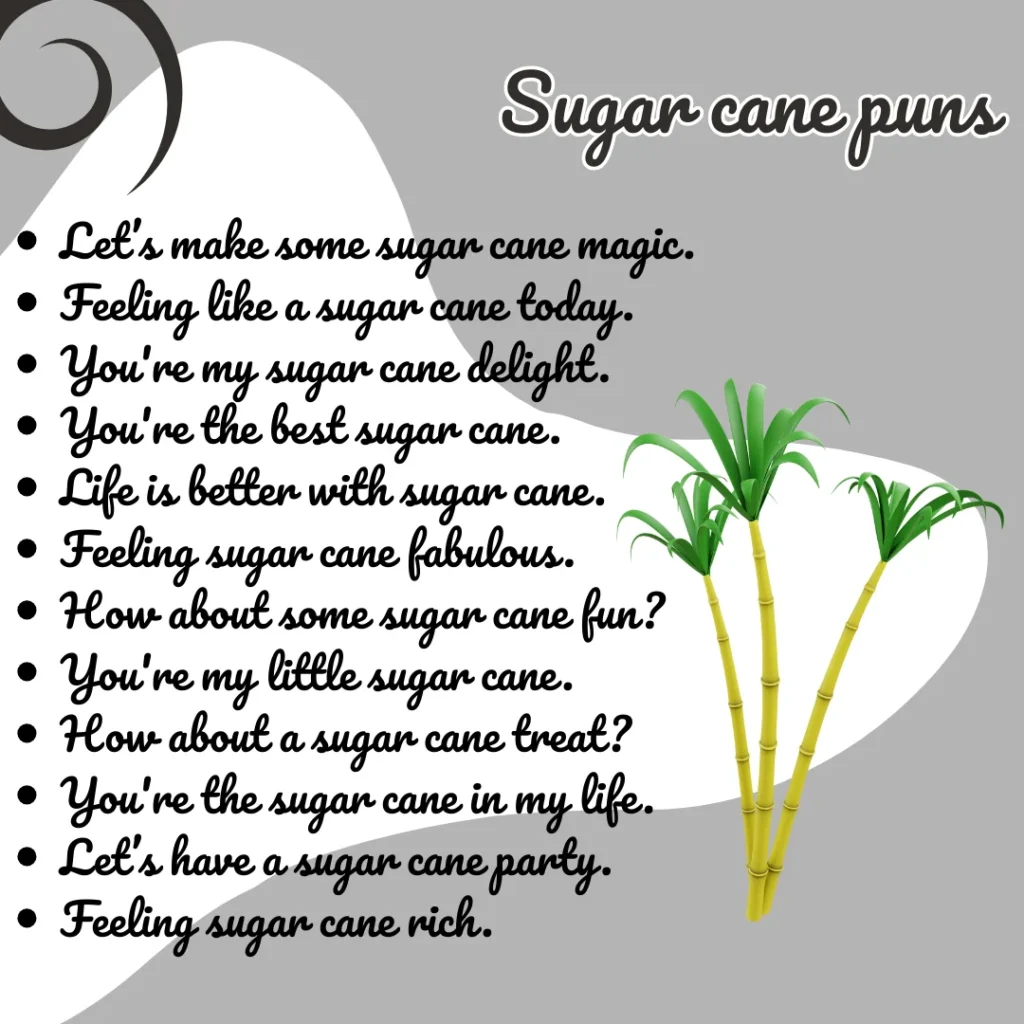Sugar cane puns