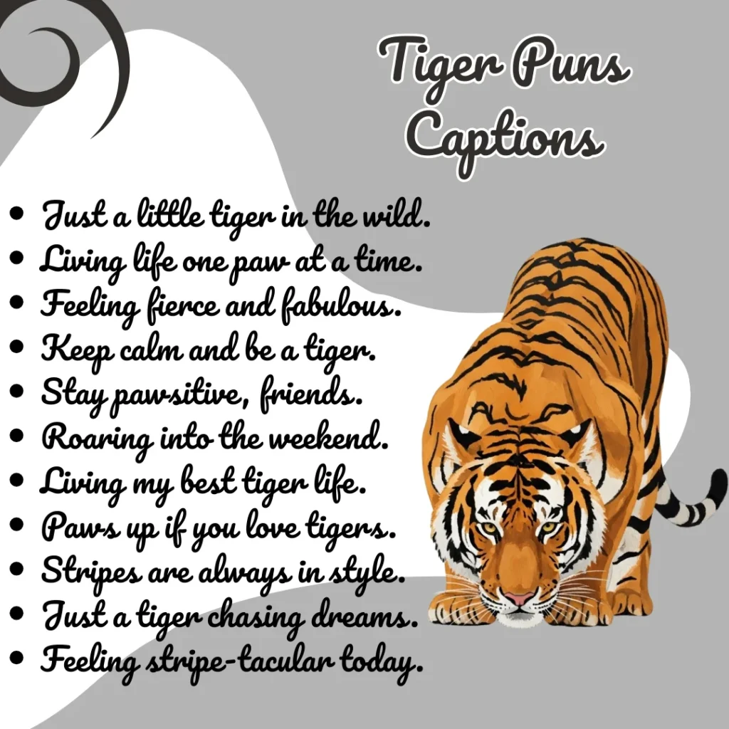 Tiger Puns Captions