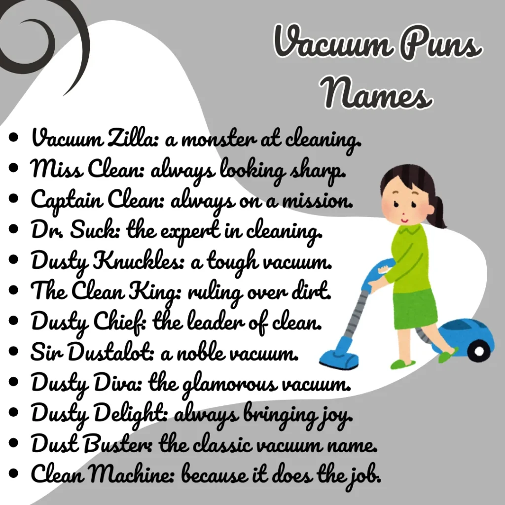 Vacuum Puns Names