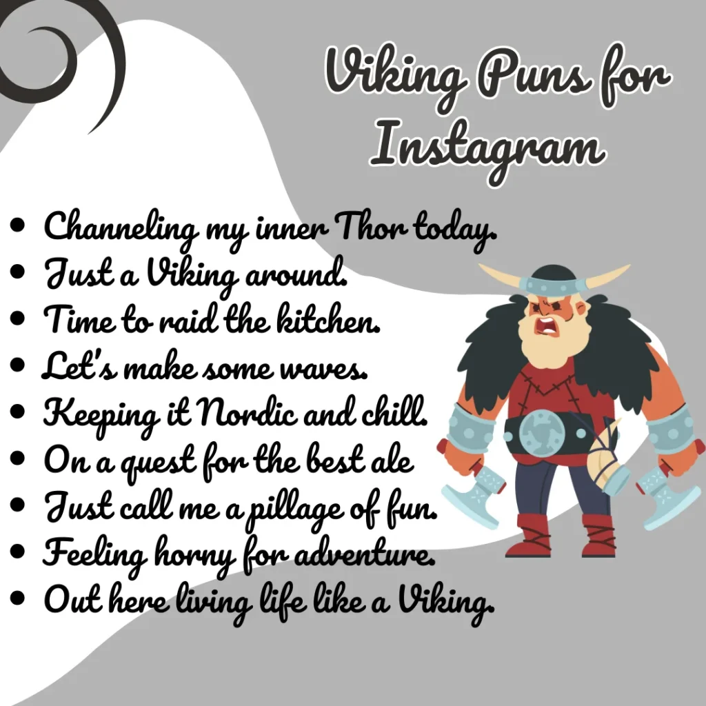 Viking Puns for Instagram